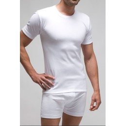 710 RAPIFE 60-64 CAMISETA HOMBRE ALGODON MANGA CORTA CUELLO REDONDO