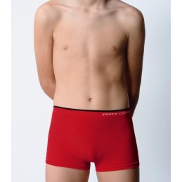 388 PIERRE CARDIN ( Precio...