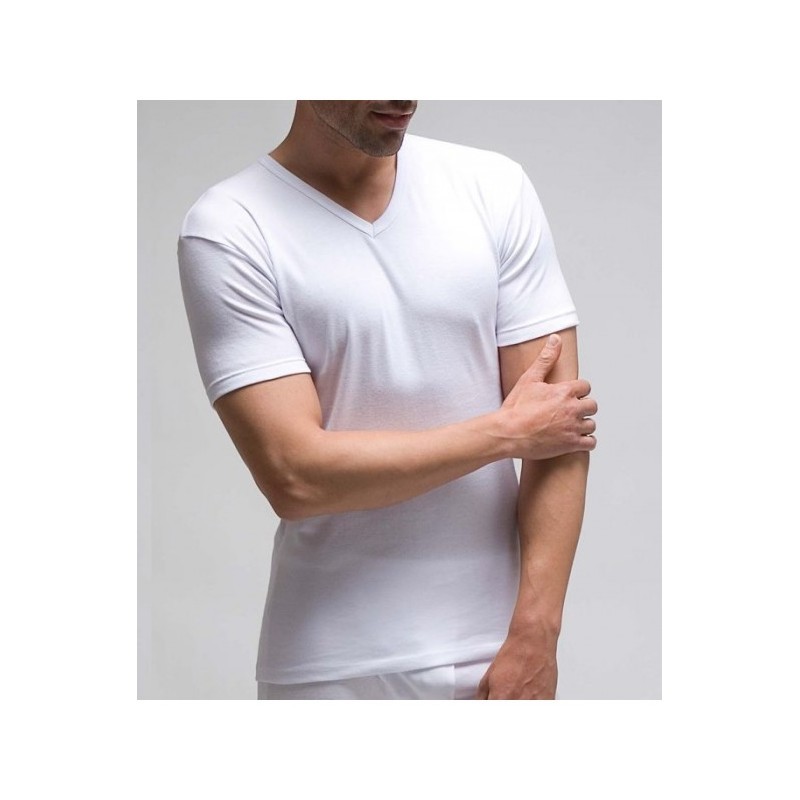 Blanco 750 RAPIFE 60-64 ( Precio de Caja de 6 Uds ) CAMISETA HOMBRE ALGODON MANGA CORTA CUELLO PICO Foto Blanco 750 RAPIFE 60-64 ( Precio de Caja de 6 Uds ) CAMISETA HOMBRE ALGODON MANGA CORTA CUELLO PICO Foto