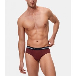 A077H ABANDERADO SLIP CRO CINTURA EXTRA SUAVE Burdeos Foto