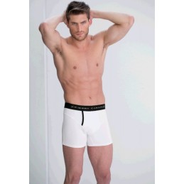 319 PIERRE CARDIN ( Precio de Caja de 6 Uds ) BOXER HOMBRE LARGO MODAL TAPETA Foto 26871