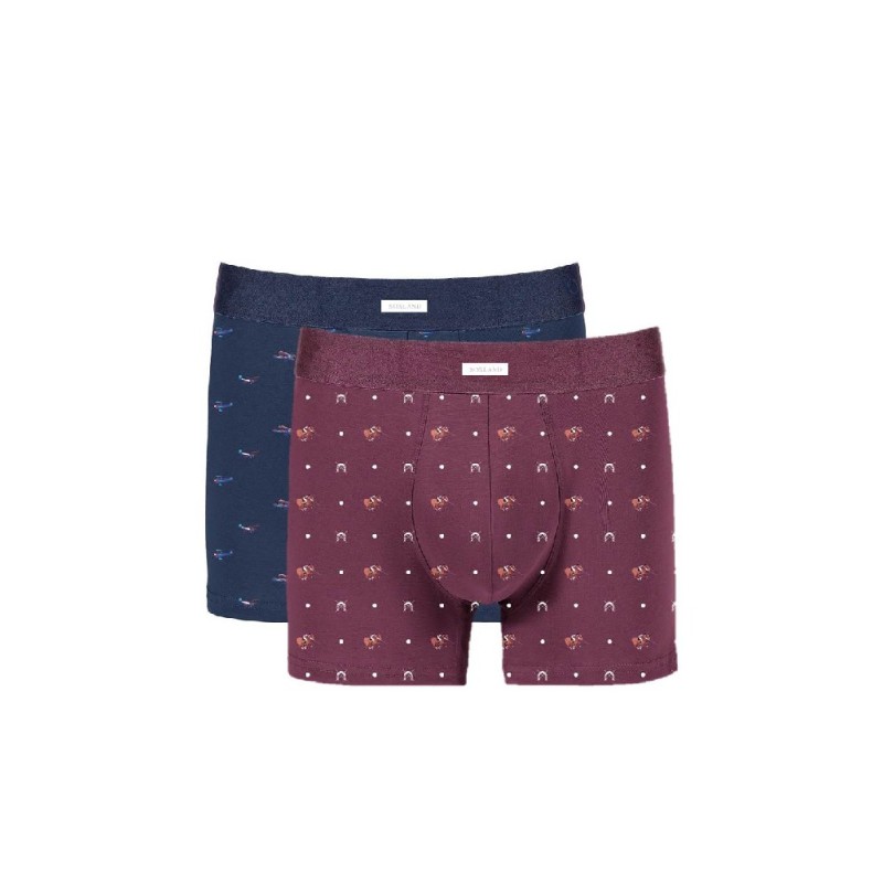 0212433 SOXLAND PACK-2 BOXER HOMBRE FANTASIA