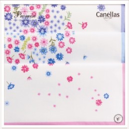 32 CANELLAS ESTUCHE 6 Uds PAÑUELOS MUJER 32x32