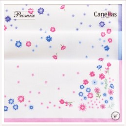 32 CANELLAS ESTUCHE 6 Uds PAÑUELOS MUJER 32x32