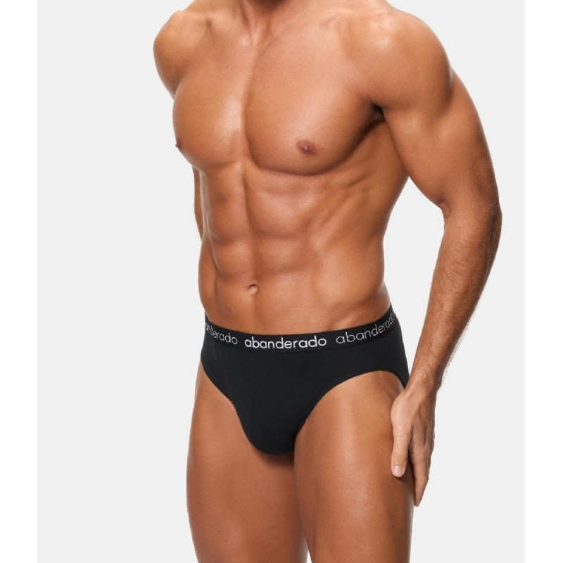 AA595 ABANDERADO PACK-2 SLIP HOMBRE ALGODON ELASTICO Foto