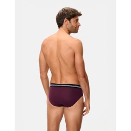 A077H ABANDERADO SLIP HOMBRE CINTURA EXTRA SUAVE CIRUELA Foto