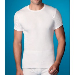Blanco 206 ABANDERADO CAMISETA HOMBRE ALG THERMAL MCORTA CREDONDO Foto 3834