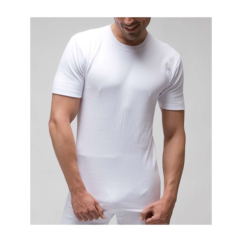 Blanco 720 RAPIFE 44-52 CAMISETA HOMBRE ALG THERMAL MCORTA CREDONDO Foto 5686 Blanco 720 RAPIFE 44-52 CAMISETA HOMBRE ALG THERMAL MCORTA CREDONDO Foto 5686